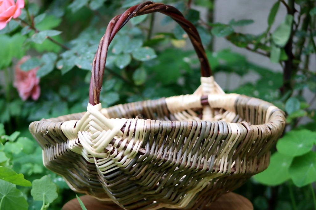 fruit picker basket