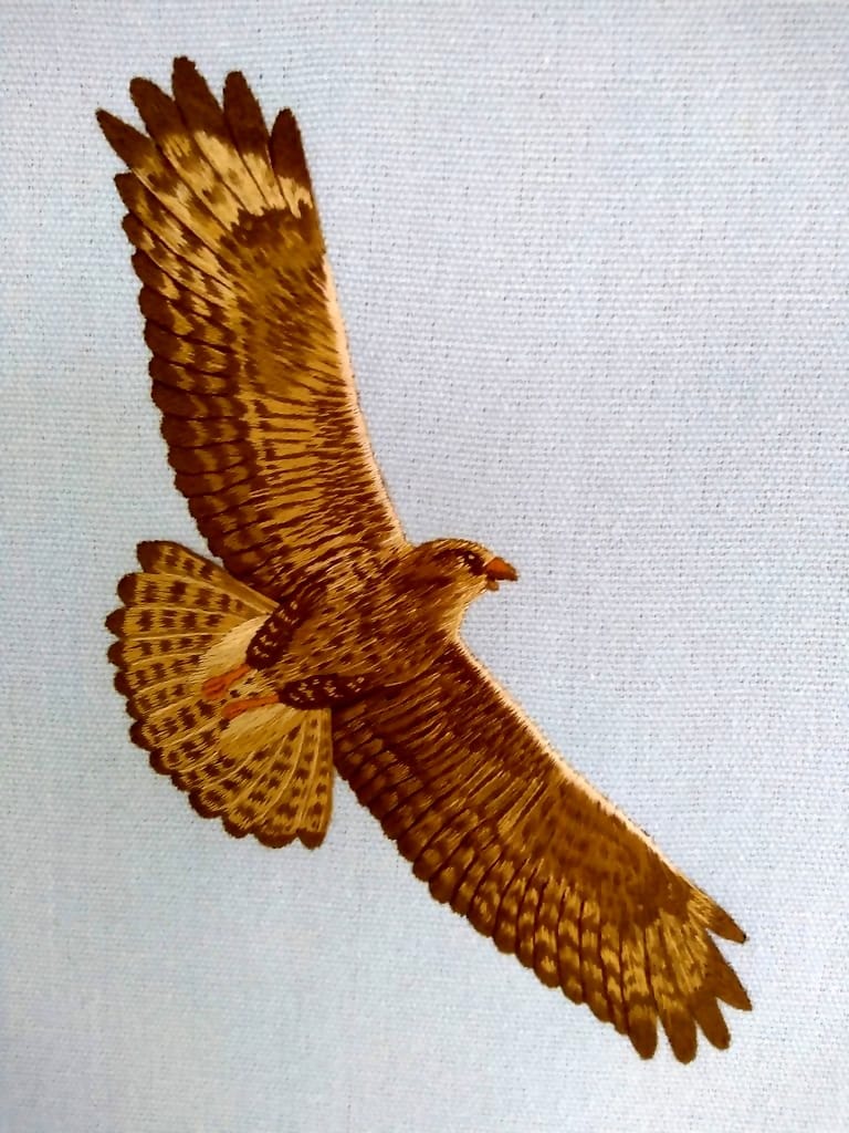 Silk shaded buzzards
