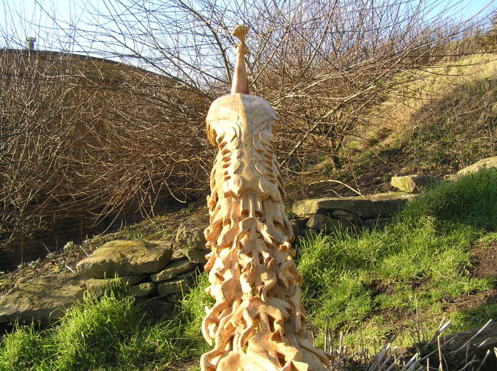 Indian White Peacock