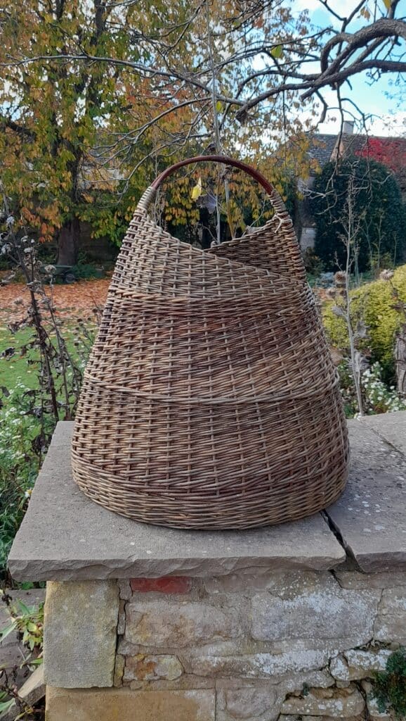 Large Asymmetric in Greens and Browns