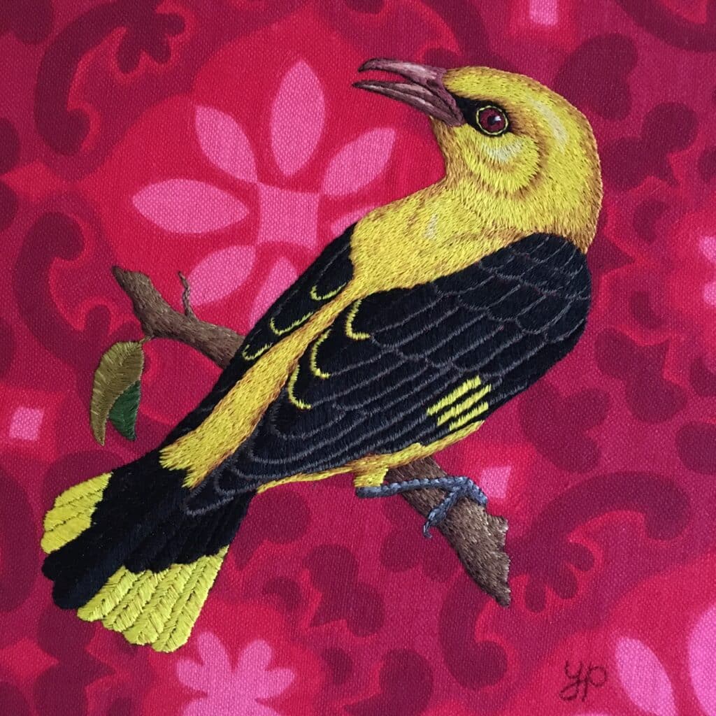 Golden Oriole