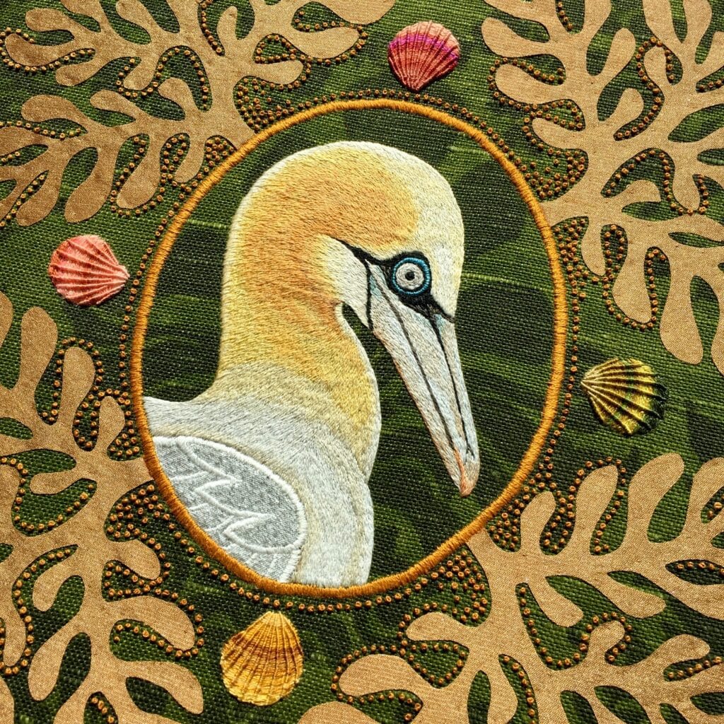 Northern Gannet – detail