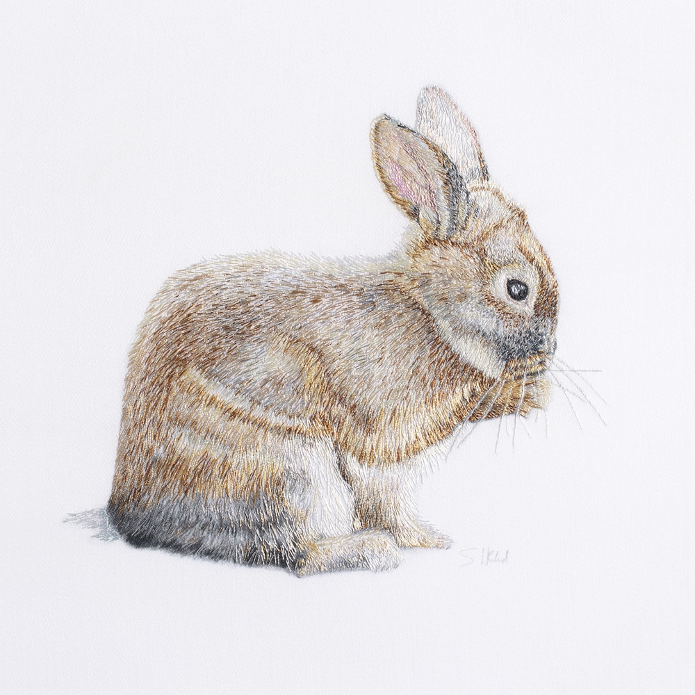Hyde Bunny
