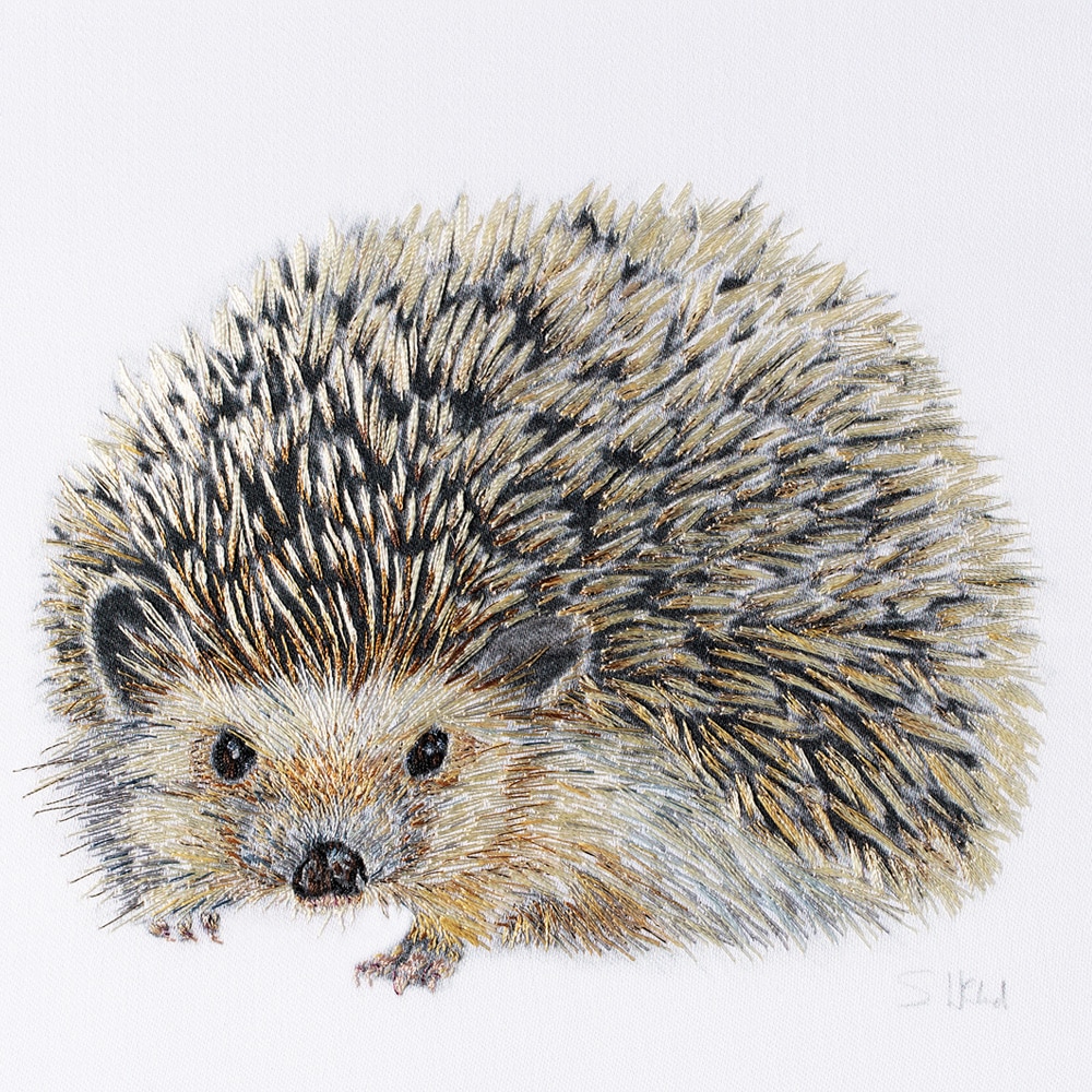 Regent Hedgehog