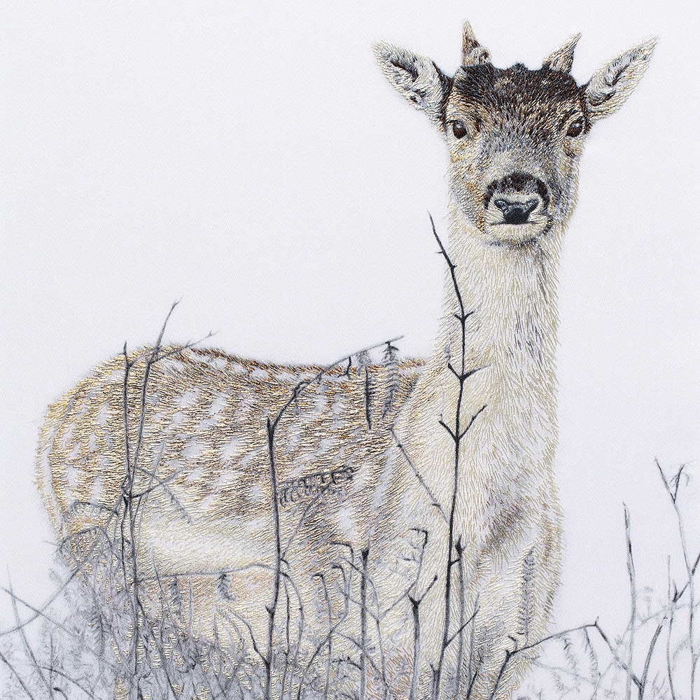 Young Richmond Deer