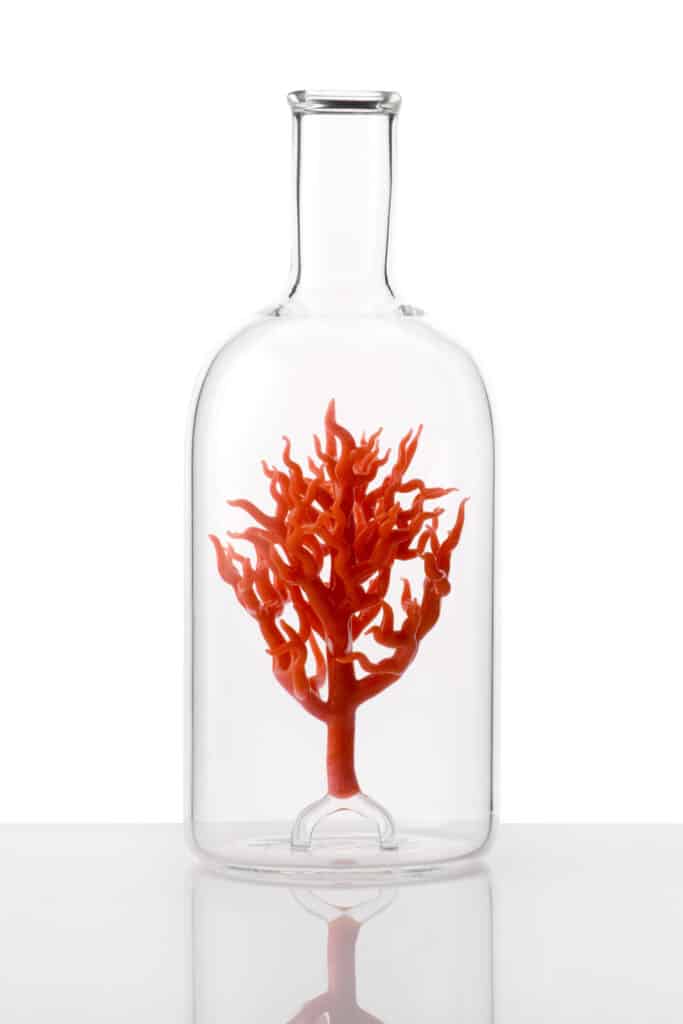 Message in a Bottle