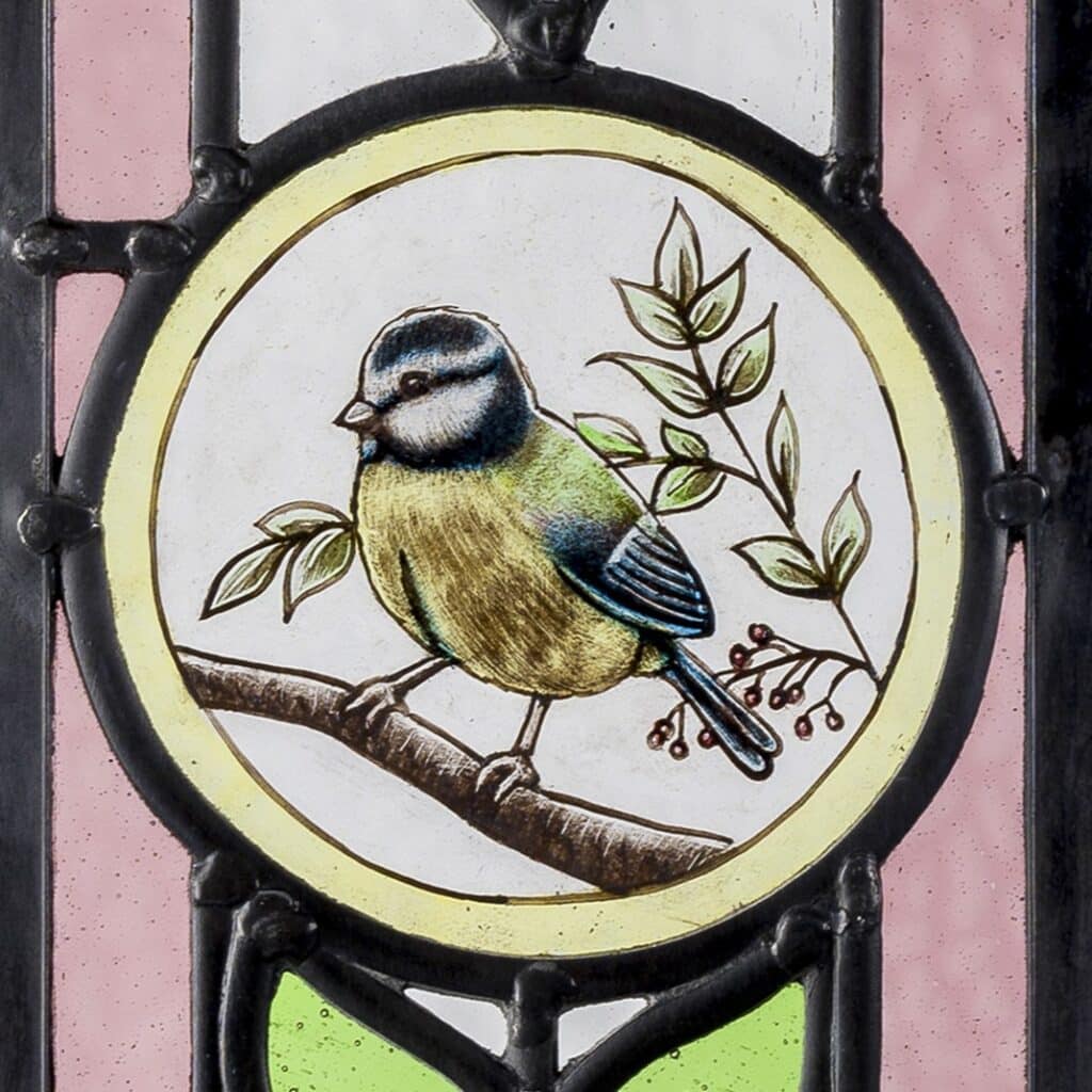 Blue tit roundel