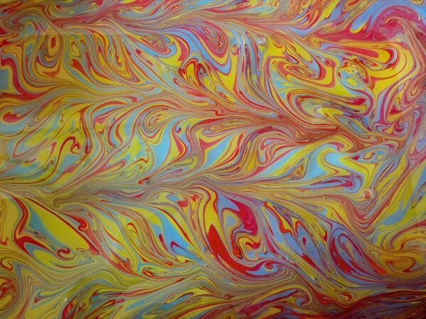 Amanda Jayne Bird Art