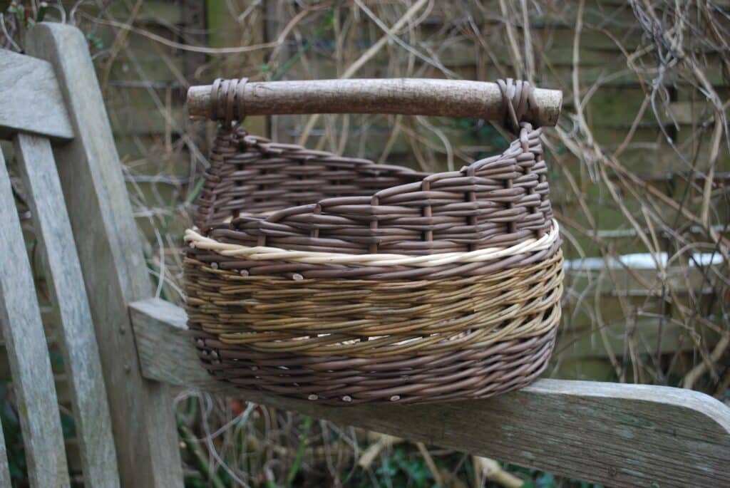 Assymetric Foraging basket
