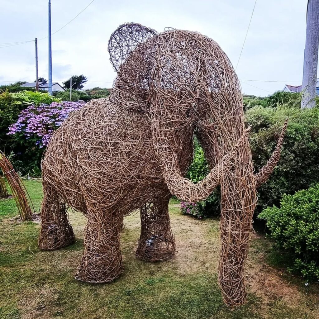 Mammoth 🦣
