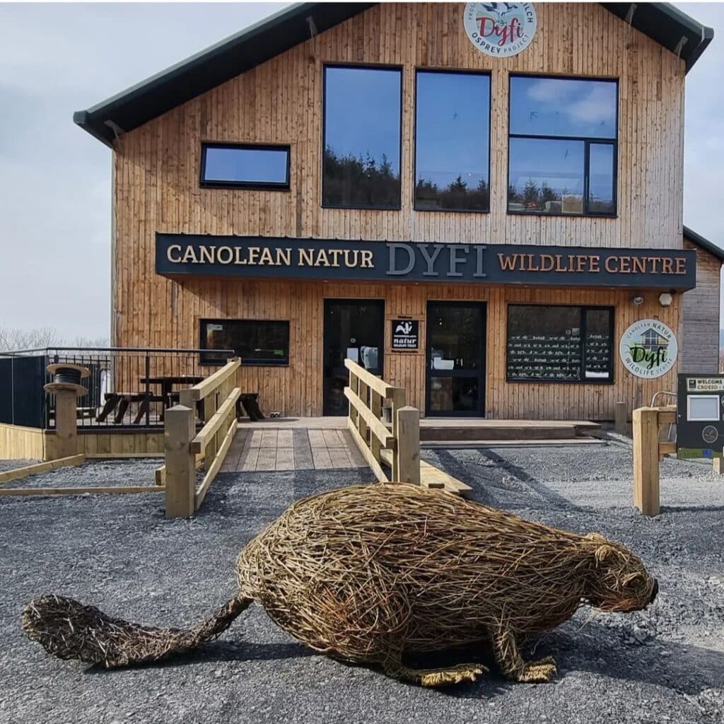 Beaver