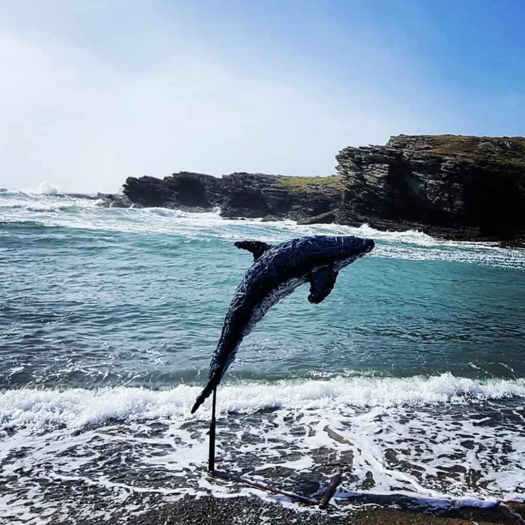 Dolphin