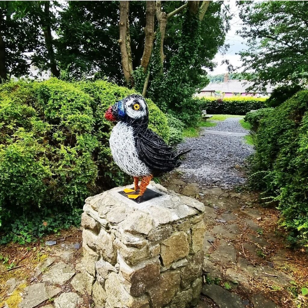Puffin
