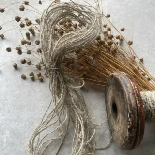 Creating fibres from flax, hemp and nettle involves the processing, drying and retting of these bast fibres which are then dried and stored. After, the fibres are mechanically processed using breaking, scutching and hackling/hecklers. 

The techniques described refer to traditional hand processes, although sometimes they are also carried out with specialist machinery. Traditional methods can be merged with modern technology to improve efficiency and sustainability. 

Processes involved across flax, hemp and nettle include retting, breaking and scrutching, harvesting and drying, hackling, decortication, softening and carding, beating and combing, spinning and weaving. 

A new addition on our 2025 Red List, flax, hemp and nettle processing has been classified as an endangered craft. While there is demand for UK made linen, the supply chain is not yet functioning and farmers are therefore not growing on any scale. Getting flax seed is also more difficult as it is imported and sold under licence. 

Machinery and equipment are obsolete and there are issues around maintenance and spares. Furthermore, many people with a working memory of flax and linen production are now quite elderly.  

More positively, the craft has been assigned resurgent status, meaning it is experiencing an upward trajectory due to a growing number of new entrants. Interest in growing hemp and flax has increased in recent years as a means of sustainable fibre production, using considerably less water and pesticides than cotton. They are also well suited to the UK climate and could reduce dependence on imported textile fibres. 

Offering opportunities for innovation, there has been a resurgence in research into the applications of hemp and flax by universities and researchers. 

#heritagecrafts #craftfocus #flax #hemp #nettle #bastfibres